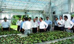 シクラメンの栽培について説明を受ける農水商工委員の写真