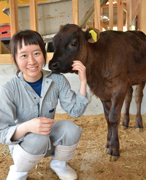 世話をする子牛と触れ合う佐藤陽奈さんの写真