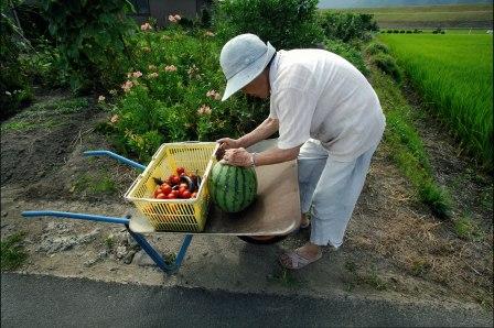 収穫のよろこび
