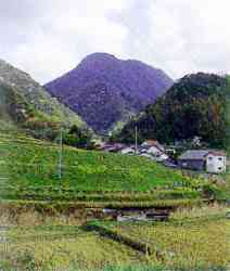 西田から望む矢滝城山 西田から望む矢滝城山