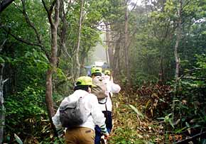 登山道 登山道