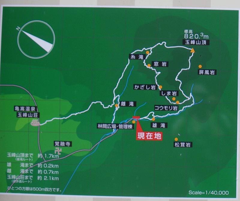 案内図 案内図