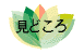 見どころ