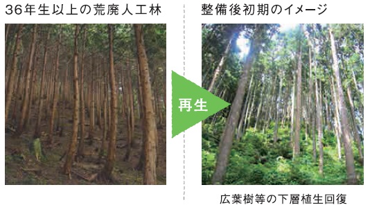 再生の森イメージ図