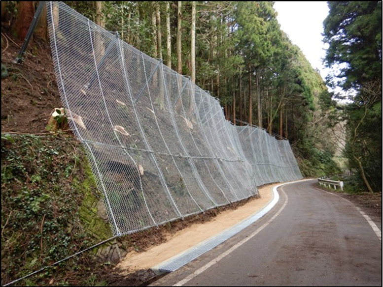 落石防止網を設置した林道法面