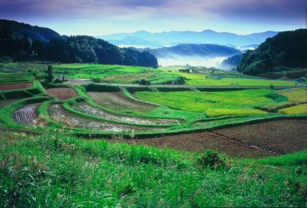 山王寺