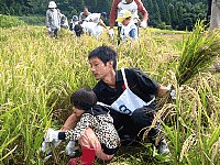 稲刈り