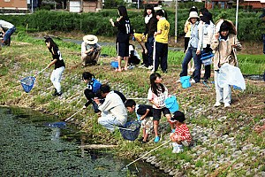 自然調べ