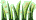 ◆