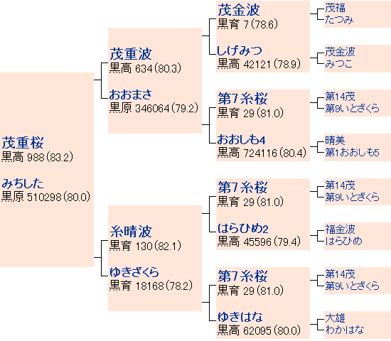 茂弘桜の系統図