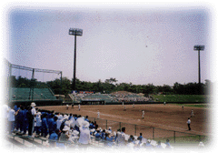 野球場