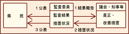監査結果の公表に関する説明図