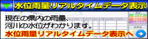 水位雨量リアルタイムデータ表示 水位雨量リアルタイムデータ表示