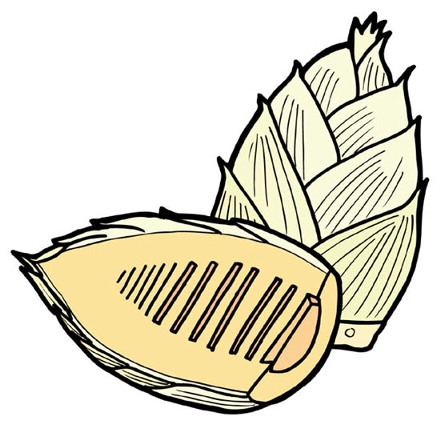 県の法令所管課