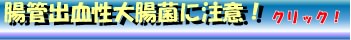 大腸菌