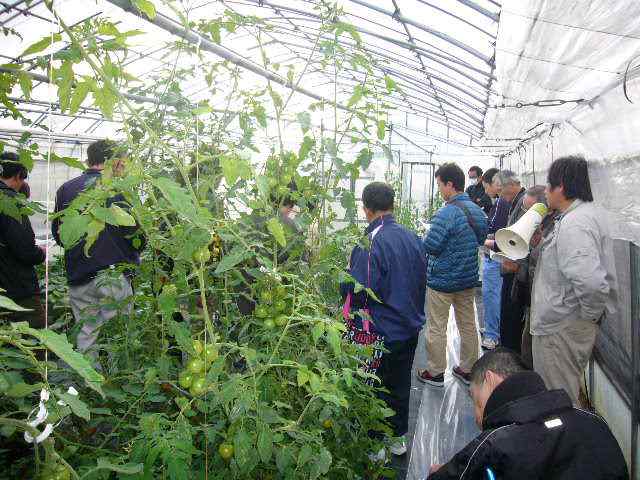 見学会