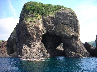ゾウ島