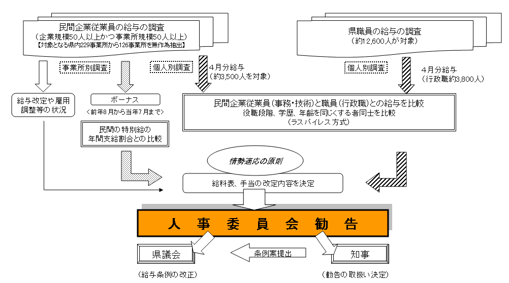 勧告の手順