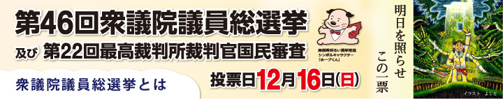 衆議院議員総選挙とは