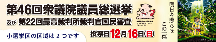 小選挙区の区域は2つです