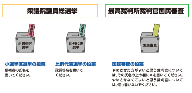 衆議院議員総選挙、最高裁判所裁判官国民審査の投票の記述方法