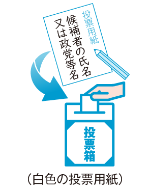 白色の投票用紙