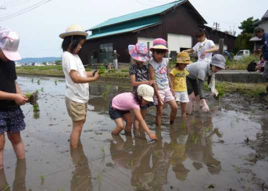 田植え祭の様子