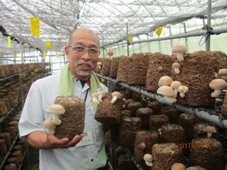 菌床椎茸を手にする河野さん