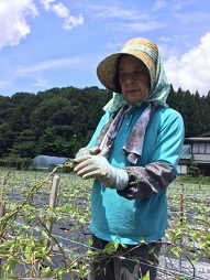 ヤマトイモ生産現場