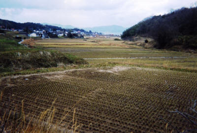 本郷集落の風景