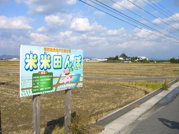 学校給食専用田