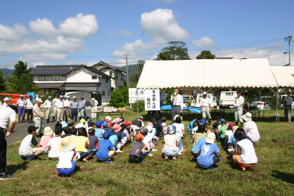 小学生の農業体験の様子