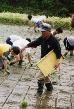 田植え