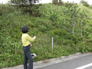 環境省職員に説明をしていただきました