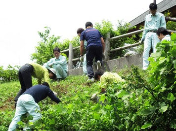 防除作業