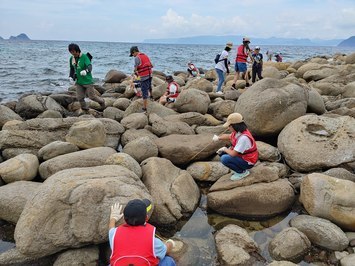 明屋海岸にてゴッカ釣りの様子