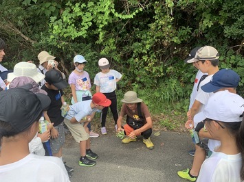 都万地区奥津戸遊歩道にてジオガイドの様子。