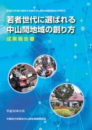 平成29年度成果報告書