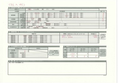 世帯確認シート。手書きの調査に使用します。家族構成や住まい、収入などについて手書きで書き込むためのシートです。裏面。