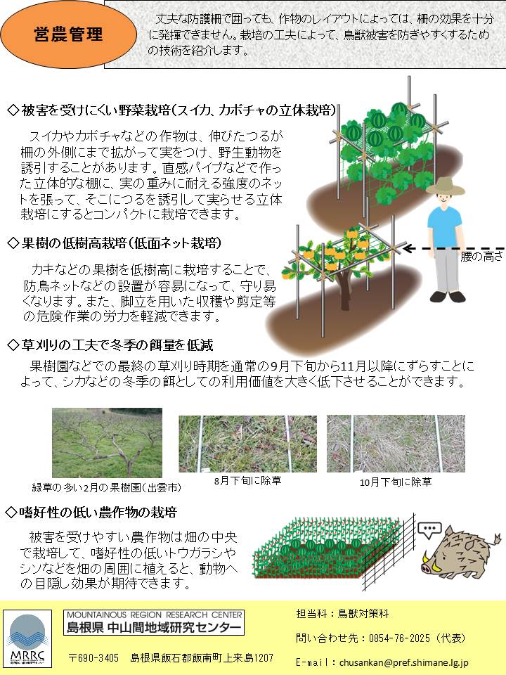 （表紙）