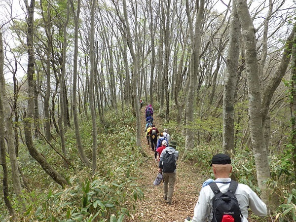 琴引山への縦走路を進む画像