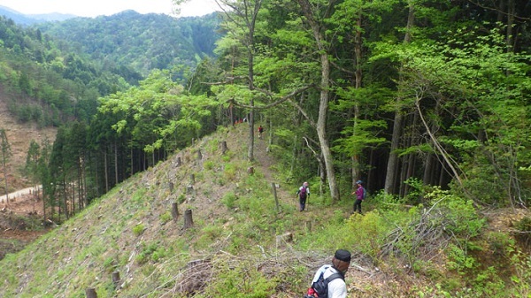 木地屋Bルートを歩く画像