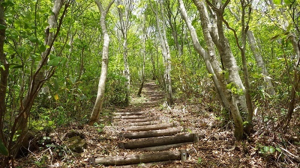 304段の大階段の画像
