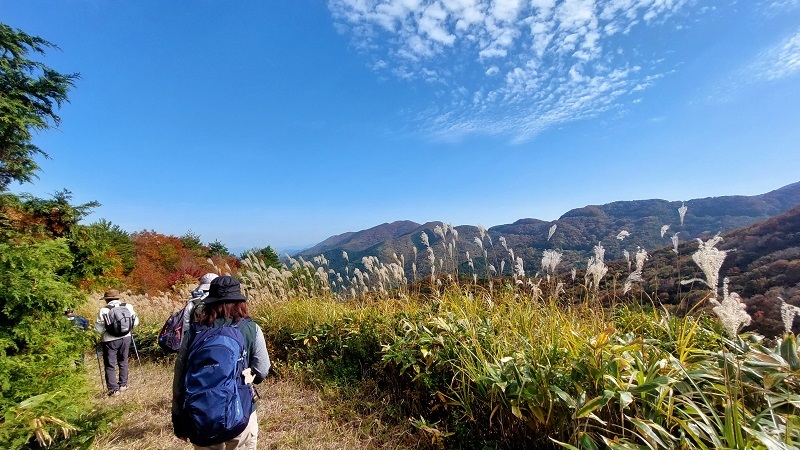 等検境ルートの様子