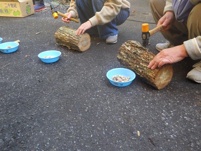 なめこの種駒を植える画像