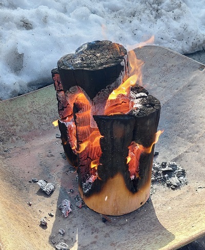 スウェーデントーチの画像