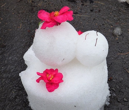 眠り雪だるまの画像