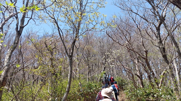 急坂を下った後の緩やかな登りを歩く画像
