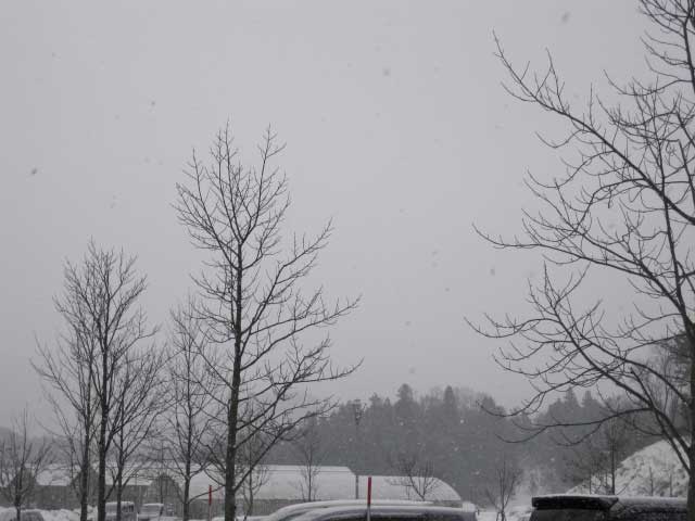 （写真）雪がぱらぱら降っています