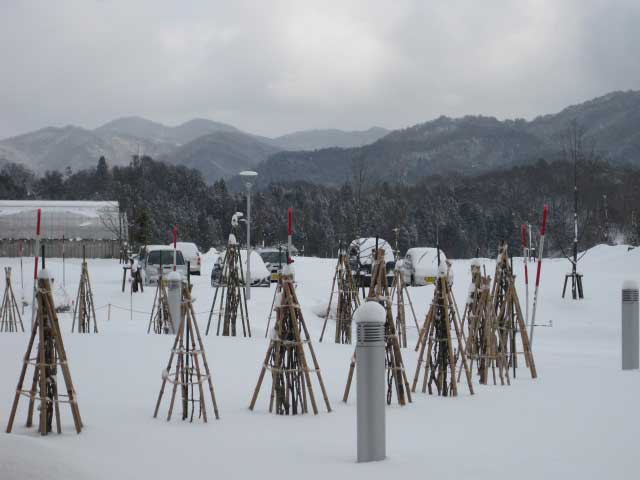 （写真）正面玄関より撮影